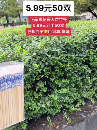 快快快宝子们,这个必须得薅啊!正品青花瓷天然竹筷,5.99元到手足足50双,还包邮到家!无漆无腊无毛刺,每一双都是独立包装,干净又卫生!不管是家庭聚餐,还是朋友聚会,都是必不可少的就餐神器!用它来招待亲朋好友也倍有面!刷到的宝千万不要错过,赶紧薅!#筷子 #天然竹筷 #青花瓷筷子 #一次性筷子 #楠竹筷子