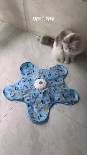 简直就是懒人逗咪神器#猫咪玩耍好物 #五角星玩具 #解放双手 #好物推荐🔥