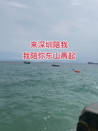 来深圳陪我,我陪你东山再起! #旅行推荐官 #社会百态 #户外 #热门 #随拍