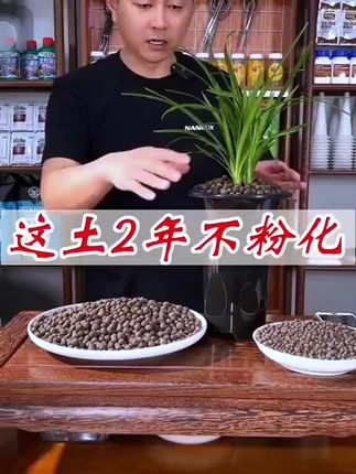 兰鼎牌草炭球种兰花2-3年不粉化 #兰花种植 #兰花 #精品兰花 #养兰人 #爱兰花爱生活