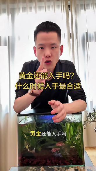 #黄金#黄金还能买吗 #投资
黄金还能入手吗?什么时候入手最合适?