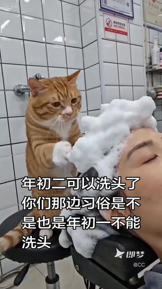 哈哈,搞怪一下,你们那边习俗是不是也是初一不能洗澡洗头,要开了年之后才能洗头。#过年洗头#习俗