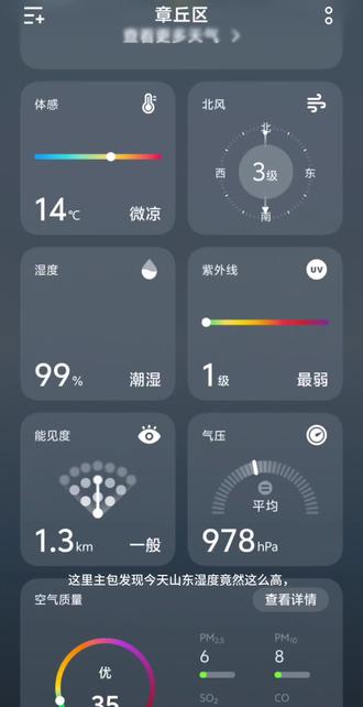 湿度 99% 该长出鱼鳃来呼吸了#对话截图 #山东 #山东天气 #豆包 #没招了