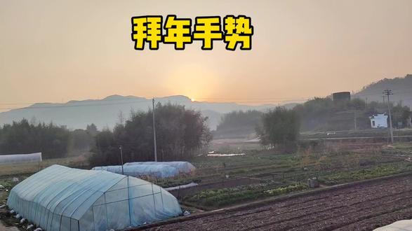 拜年手势的讲究:从拱手礼到《周礼》九拜
一、拱手礼的正确姿势
拱手礼,又称作揖,是春节最常用的传统礼仪。其核心要领是:双手抱拳,臂如抱鼓。
男女有别:
• 男子:左手包右手,即左手在前握住右手,两臂微微前推
• 女子:右手包左手,即右手在前握住左手,微微屈膝欠身
文化内涵:古人以左为阳、为吉、为主进攻,右手为阴、为防守。男子左手包右手,表示以真诚友善之心克制攻击之意;女子反之,体现阴阳调和。这种手势称为“吉拜”,用于喜庆场合。
二、《周礼》中的九拜之仪
《周礼·春官·大祝》记载了九种跪拜礼节,展现了中国古代礼仪的层级分明:
1. 稽首:跪地,头触地并停留(最隆重,臣拜君)
2. 顿首:跪地,头触地即起(次重,常用于地位相等者)
3. 空首:跪地,手至地而头不至地(君答臣之礼)
4. 振动:两手相击而拜(用于特定场合)
5. 吉拜:先拜而后稽颡(丧礼中的一种)
6. 凶拜:先稽颡而后拜(三年之丧所用)
7. 奇拜:一拜(军中或急事)
8. 褒拜:再拜(重复拜礼)
9. 肃拜:直立拱手,不跪(女子专用,也用于军中介胄之士)
三、现代拜年实用指南
春节场合:使用“吉拜”拱手礼,男子左手包右手,女子反之。行礼时面带微笑,上身微前倾15-30度,目视对方。
避忌:切勿将左右手顺序颠倒,那在传统中是“凶拜”手势,用于丧事。若穿现代服装无法行跪拜,拱手礼已足够表达敬意。
拱手礼虽简,却承载着“敬天法祖”“尊卑有序”的中华礼乐文明精髓。今年拜年,不妨行一个标准的拱手礼,让传统文化在举手投足间流传。#国学文化#拜年手势#治愈系风景#每天学习一点点#修身养性