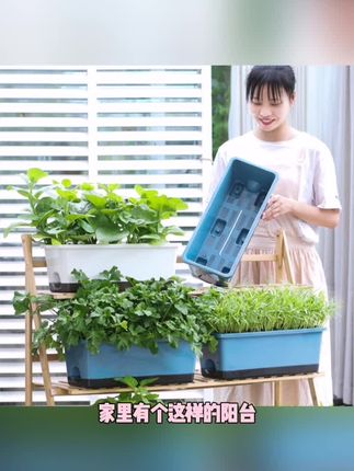 家里有个这样的阳台种菜盆真的太方便了,想吃什么就种什么,再也不用去超市买菜了。它是加厚透气的设计,不用担心会积水烂根,而且还能储水,即使出门几天也没事。长条形的造型,不管是墙角还是窗台都能放得下,非常适合喜欢种菜的朋友,赶紧点击下方链接购买吧!