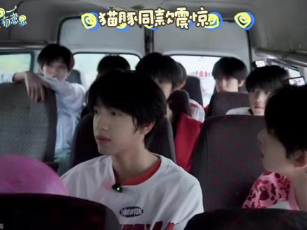 谁来数一下这个猫豚一共震惊了多少次#王橹杰#张函瑞#橹瑞