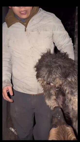 这个骏良太有梗了#军粮 #骏良 #豆豆 #黑子 #门头沟