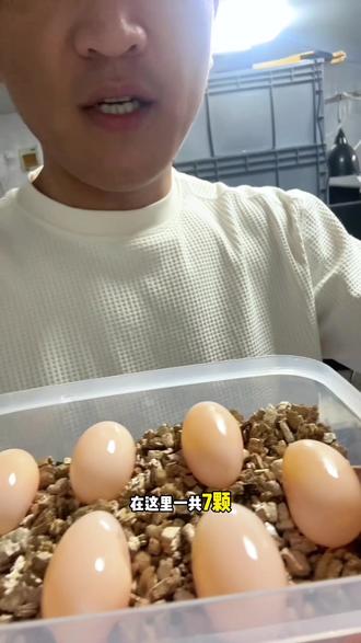 又挖出来7颗蛋,然后又丢掉7颗蛋 繁殖不容易#龟蛋孵化 #钻纹龟 #蛋壳里的小生命 #养龟日常 #养龟日记