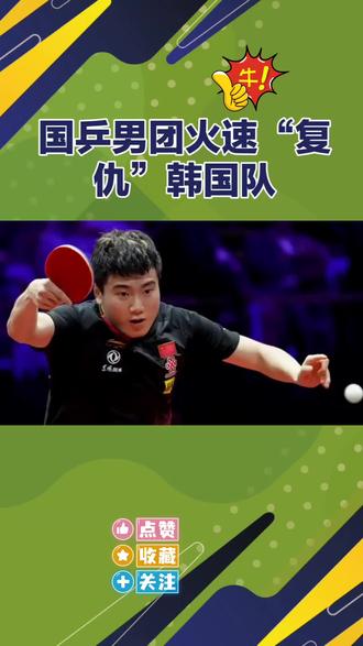 国乒男团火速‘复仇’韩国晋级四强#王楚钦#林诗栋#梁靖菎#王浩#国乒男队@抖音小助手