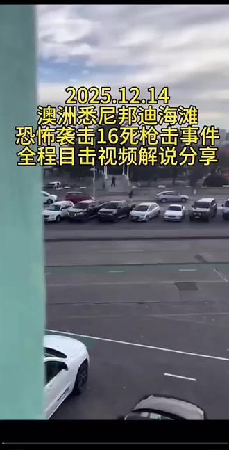 2025澳洲枪击事件 2025澳洲枪击事件#国外