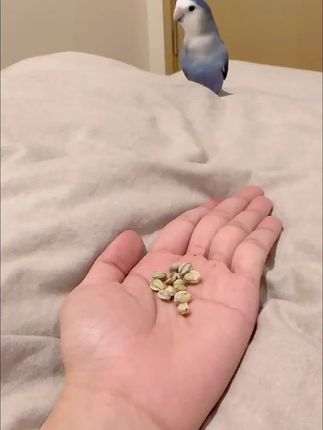 大语文时代,语文考试知识面非常灵活,一定要帮孩子多积累这些百科常识 #育儿 #家庭教育 #百科知识 #文学常识