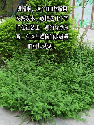 谁懂啊,这个EHD防脱固发洗发水,敢把这几个字打在包装上,真的有点东西,有这些烦恼的姐妹真的可以试试#防脱固发洗发水 #EHD #EHD防脱洗发水 #固发防脱 #洗发水推荐