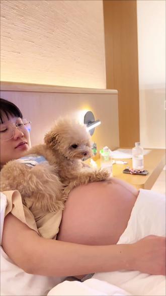 当狗狗踩了怀孕的肚子一脚… #萌宠 #潦草小狗小宝 #宝宝和狗狗 #酷润玻尿酸鼻喷