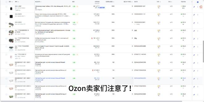 抓住平台扶持流量,Ozon精铺开店这样做 #ozon #ozona #ozon运营 #ozon跨境电商 #ozon精铺