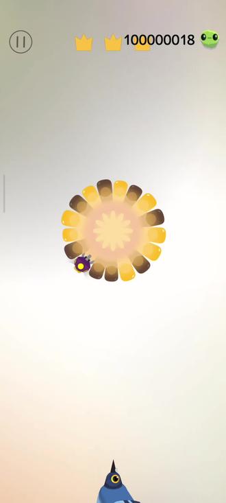 吃个玉米还挺狂 #pigeonpop #疯狂的鸽子 #看海老师