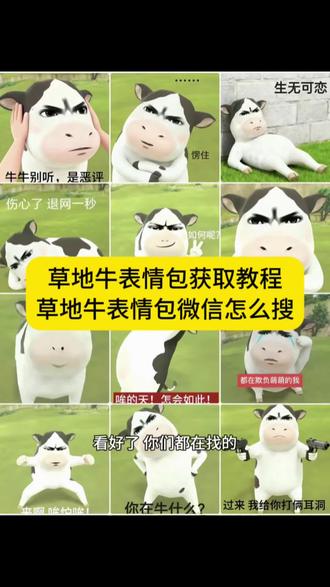 草地牛表情包获取教程 草地牛表情包 牛牛表情包 哞哞表情包 草地牛表情包高清图 奶牛表情包微信搜什么 草地牛为什么突然火了 微信小牛表情包叫什么 草地牛微信怎么搜 微信小牛表情包叫什么 草地牛表情包出自哪 草地牛表情包出自哪里 草地牛的原型 神图壁纸小程序入口 #草地牛 #草地牛表情包 #哞哞牛表情包 #表情包 #神图壁纸