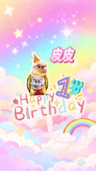 皮皮,我的嫡长子,你今天满一岁啦,以后也要健康长大,妈妈还要给你过很多很多个生日。@吉祥三宝(Allan,嘟嘟,果果) #家有萌宠 #小太阳鹦鹉