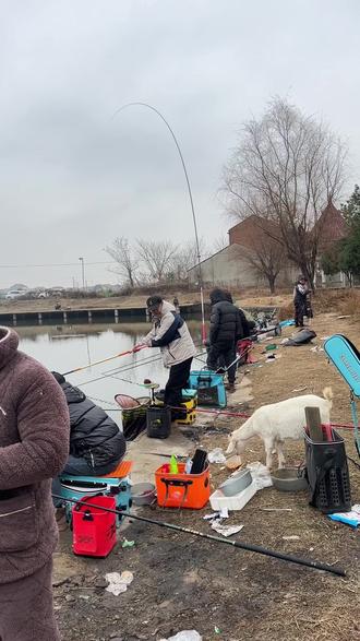 烽火农庄2月9号投放鲫鱼10号早上七点开钓,随来随钓🎣🎣🎣#钓鱼的乐趣只有钓鱼人懂 #钓鱼 #钓鱼人就是这么疯狂 #钓鱼人 #鱼获满满