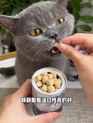卫仕爆爆桶主食冻干也有羊毛薅了!大牌品质嘎嘎放心,养猫人千万别错过了#萌宠好物 #卫仕爆爆桶 #猫零食 #养猫人