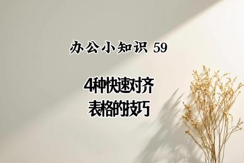 4种对齐神技,表格瞬间整洁,效率翻倍!#涨知识 #分享知识#干货分享 #office办公技巧