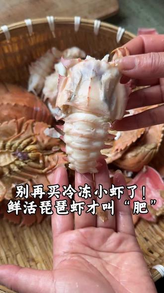 别再买冷冻小虾了!鲜活琵琶虾才叫“肥” #琵琶虾 #海鲜美食 #美食分享 #快来一起尝个鲜 #太好吃了