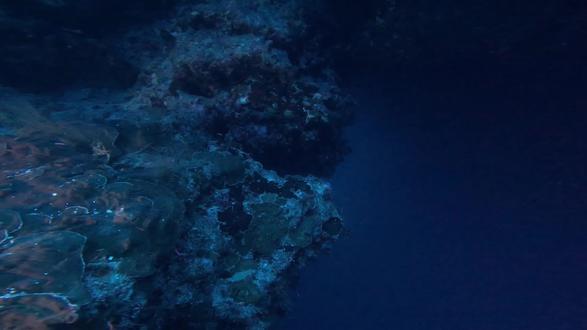 #神秘园 #蓝洞拱门#技术潜水 #潜水 @MrTecAli