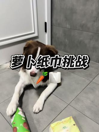 帮我看看她到底会不会
#萝卜纸巾 #乐趣狗狗薯片#乐趣宠物薯片