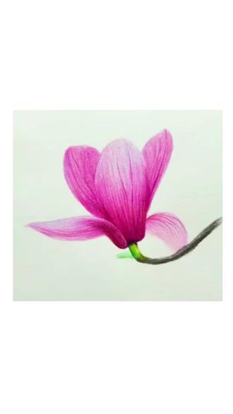 画一朵玉兰,等一场春风
零基础也能画的玉兰花教程#乱涂乱画系列 #创作者中心 #创作灵感