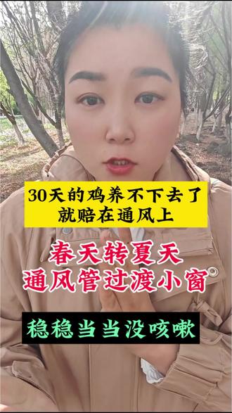 通风过渡掌握好,不然,30天之后的鸡,都难养#三农分享官