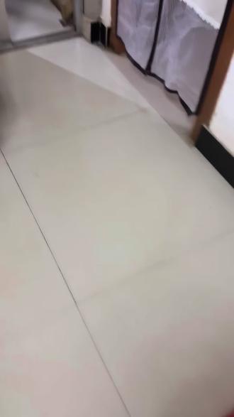 这个骚福瑞一天搞得事情