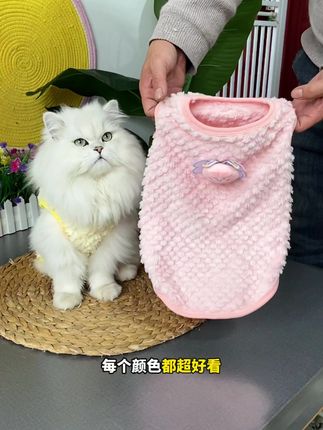 天冷了,这个好看还便宜的保暖绒绒衣,就可以给毛孩子安排上了#宠物衣服 #养宠人#养猫人 #猫咪衣服