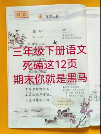 三年级下册语文,死磕这12页就够了⭐️⭐️ #三年级下册语文 #全册重点 #语文课本知识点 #课本必背内容 #学霸秘籍分享
