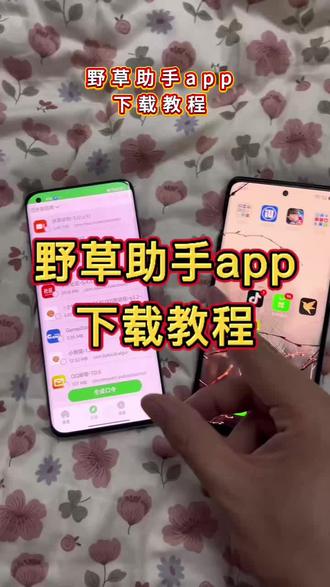 野草助手下载教程《道一分享》#野草助手怎么下载 #野草助手分享码 #野草助手 #玩机技巧