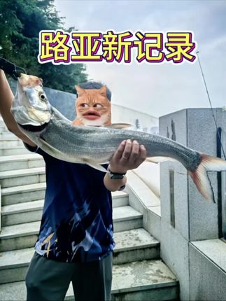 国庆刷新路亚记录,装备搭配汉鼎幻翎1.68L,阿布泽纳2000sh,锐道加强钩配锐道卷尾立大功#卷尾软饵 #根钓钩 #国庆档在抖音 #米翘 #汉鼎幻翎
