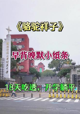 骆驼祥子早背晚默小纸条,18天吃透,开学躺平!#学霸笔记#七下#家长必读#知识点总结#学习分享