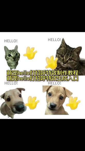 hello音频出处原版是谁发出的 hello猫原视频 hello hello #hello音频 hellowhite 冯冯什么梗 小猫叫声 小猫头像 hello小猫日常 hello小猫图片 #hello音频出处 hello原视频 哈喽小猫 hello表情包 狗狗听了会特别开心的声音 #hello小猫 hello喜羊羊 hello小狗头像 hello小狗壁纸 hello小狗合集 #hello打招呼音频出处 hello小猫 #剪映