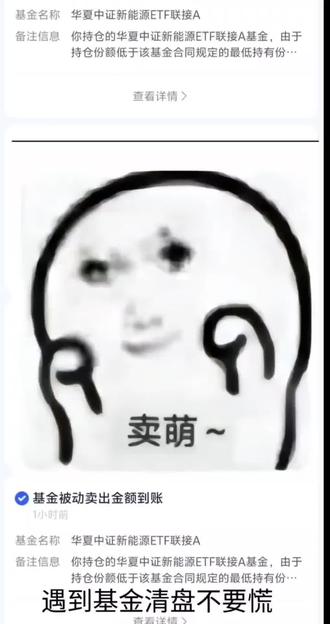 新手养鸡注意!!! #基金小白 #基金 #基金清盘