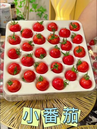 来自云南的绯红提那小番茄,真不是一般的西红柿能比的,对生活品质有要求的真的可以来一份尝尝#番茄 #西红柿#云南番茄 #新鲜采摘 #不差钱