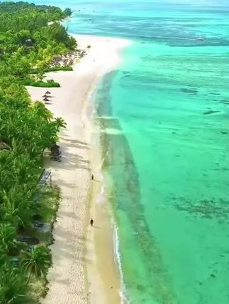 #垃圾袋 #垃圾袋手提式 #垃圾袋推荐