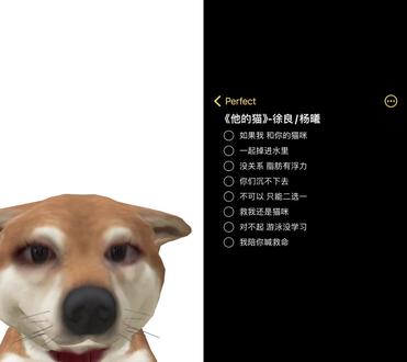 救我还是猫咪 #徐良#修狗唱歌 #他的猫