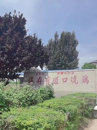 义兴张是道口烧鸡首创,八代嫡系传人张存有主理#韩朝花 #分享地方特色美食 #义兴张道口烧鸡 #河南老字号 #支持全国发货 @河南特产道口烧鸡 @秋香合烧鸡老铺