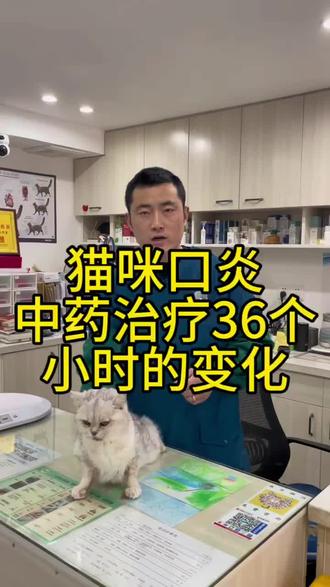 #猫口炎 #猫口炎全口拔牙 #猫口炎用药 #猫咪口炎 #猫咪口炎怎么治