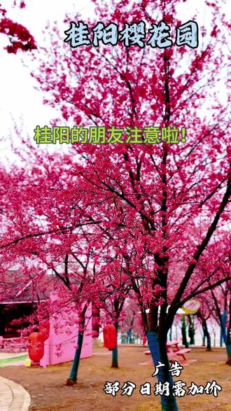 樱花盛开,春色满园,桂阳樱花园风景引人入胜!快来游览拍照,体验欢乐吧!
#樱花 #汉服让世界看到中国的美