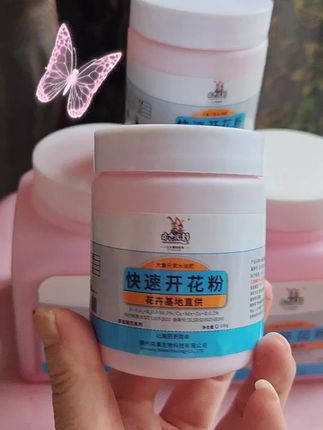 中古快速开花粉 #快速开花粉 #快速开花 #花开不断 #农业值保