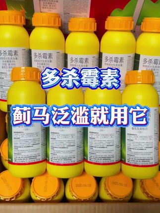 #多杀霉素 #蓟马防治 #三农 #抖音助农 #新农人计划