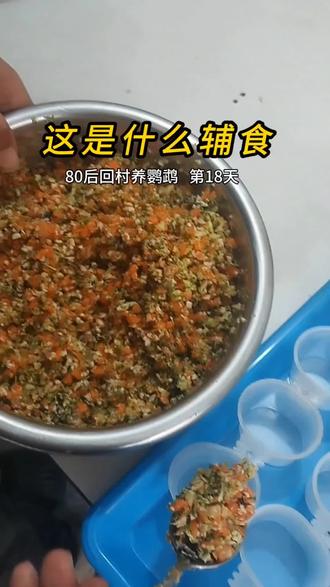 #鹦鹉#牡丹鹦鹉#手养鹦鹉#鹦鹉辅食