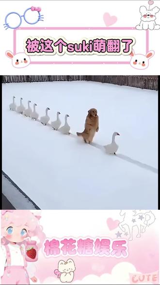 闺蜜求你了陪我玩这个吧 #suki #情侣云养娃 #抽象 #闺蜜