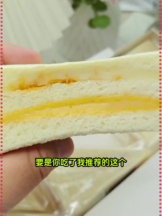 要是你吃了我推荐的这个黑麦肉松三明治面包 还觉得不好吃,那你直接来找我,此视频为证啊。#三明治