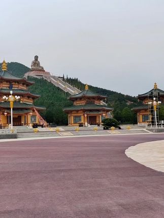 邀请一群老朋友,来山东龙口的家疗养一段时间!吃点海鲜!