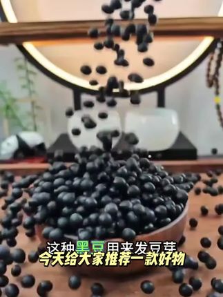 【到手2斤】东北农家黄心小黑豆打豆浆专用发芽做豆腐薏米五谷杂粮